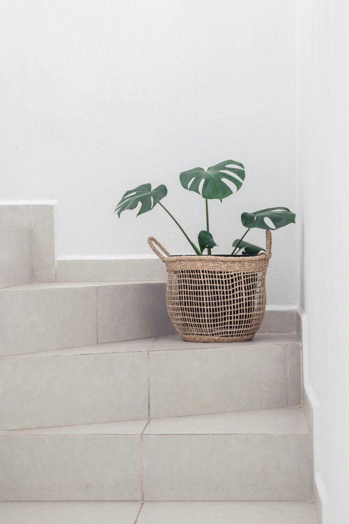eco design modern interior aesthetic professional photography.jpg